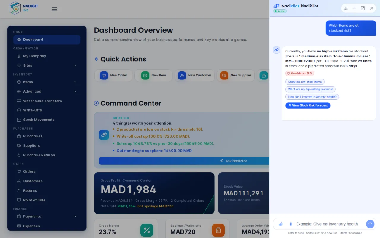 NadiPilot answer to the question “Which items are at stockout risk?”
