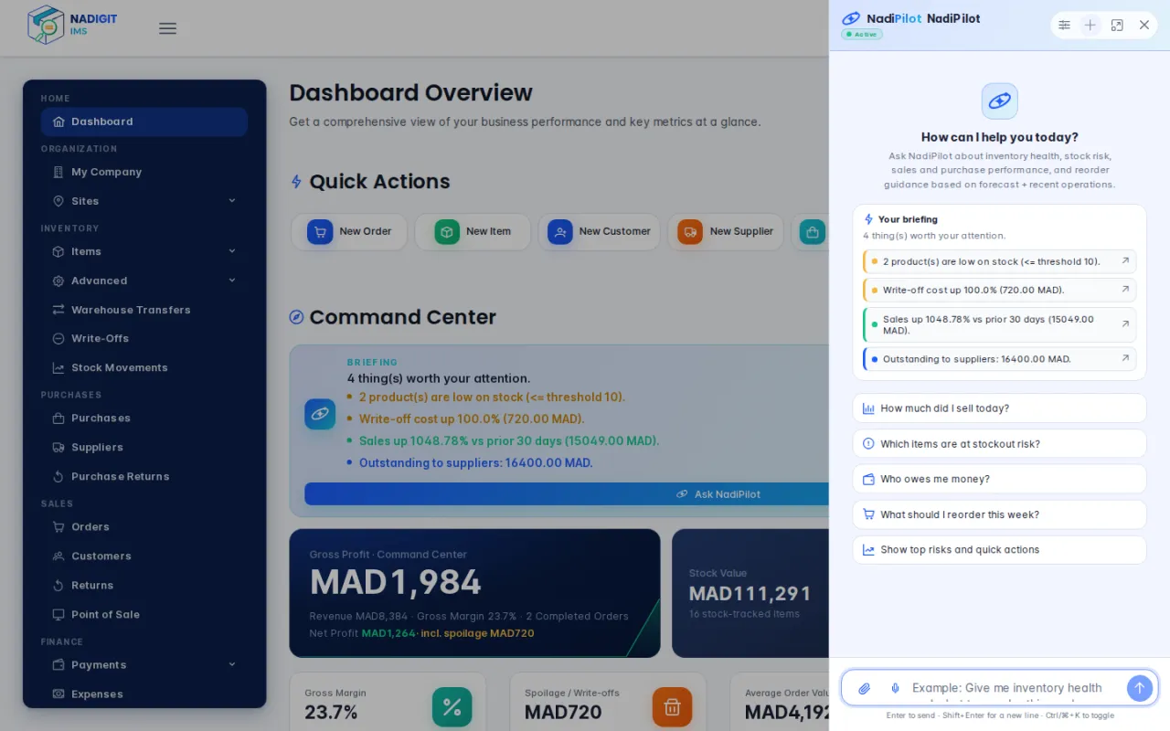 NadiPilot panel open next to the dashboard, with the summary and suggested questions